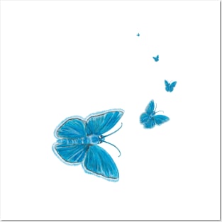 Chapman's blue butterflies flying Posters and Art